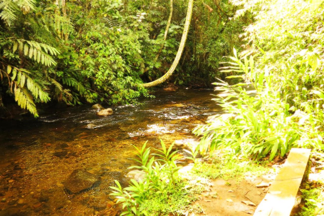 Ecolodge Puente Explanacion Саленто Екстер'єр фото