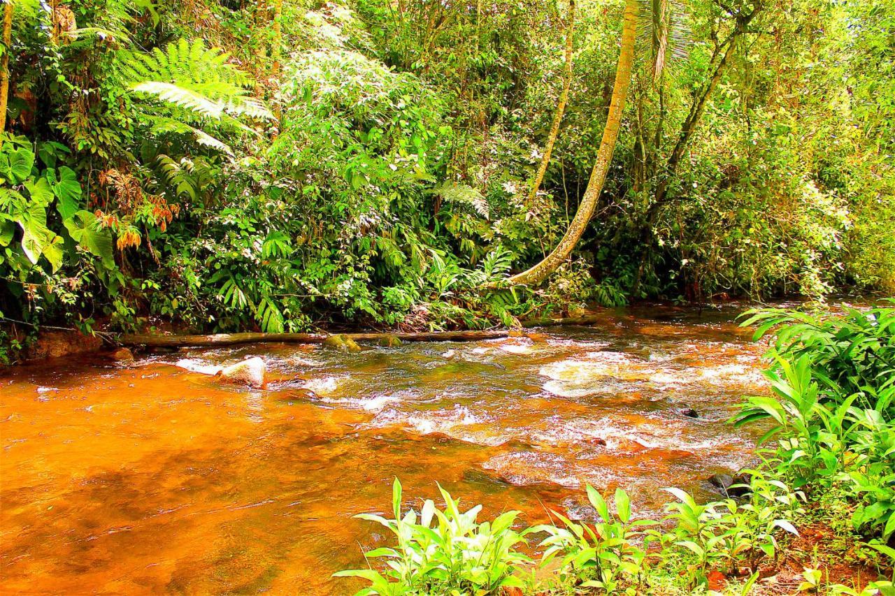 Ecolodge Puente Explanacion Саленто Екстер'єр фото
